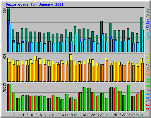 Daily usage for January 2021