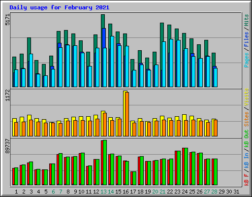 Daily usage for February 2021