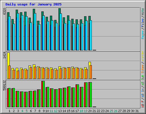 Daily usage for January 2025