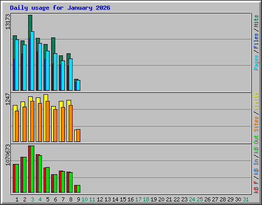 Daily usage for January 2026