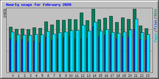 Hourly usage for February 2020