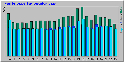 Hourly usage for December 2020