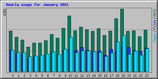 Hourly usage for January 2021