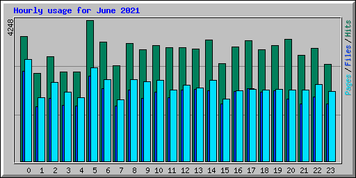 Hourly usage for June 2021