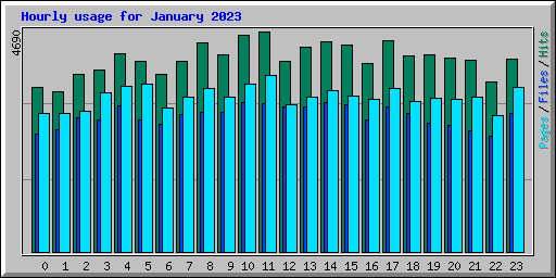 Hourly usage for January 2023