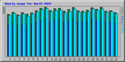 Hourly usage for March 2024