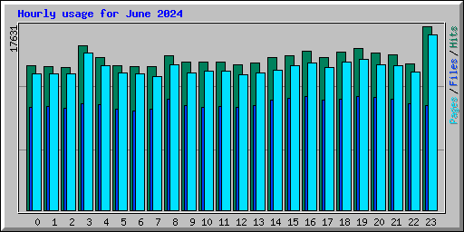 Hourly usage for June 2024