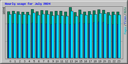 Hourly usage for July 2024