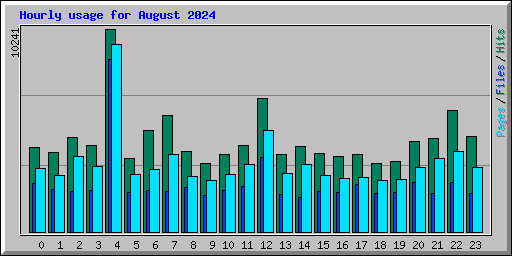 Hourly usage for August 2024