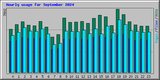 Hourly usage for September 2024