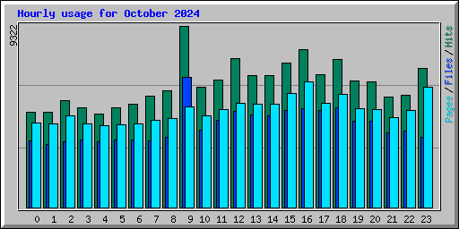 Hourly usage for October 2024