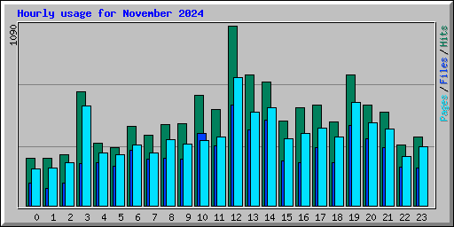 Hourly usage for November 2024