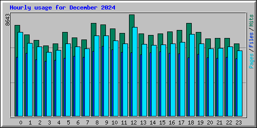 Hourly usage for December 2024