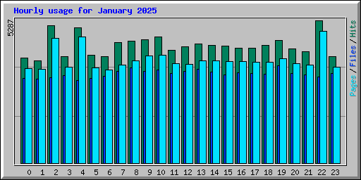 Hourly usage for January 2025