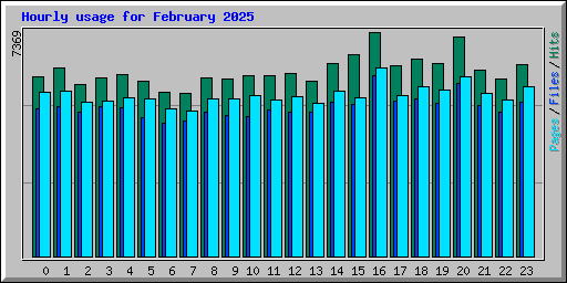 Hourly usage for February 2025