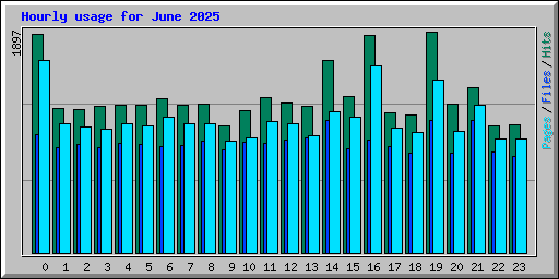 Hourly usage for June 2025