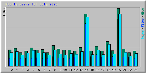 Hourly usage for July 2025