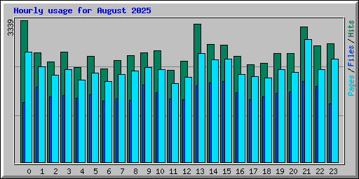 Hourly usage for August 2025