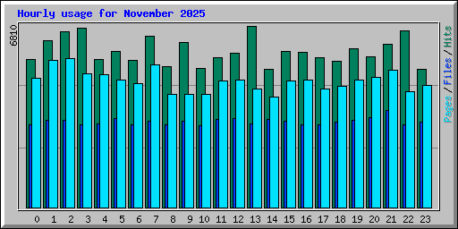 Hourly usage for November 2025