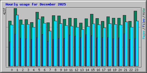 Hourly usage for December 2025