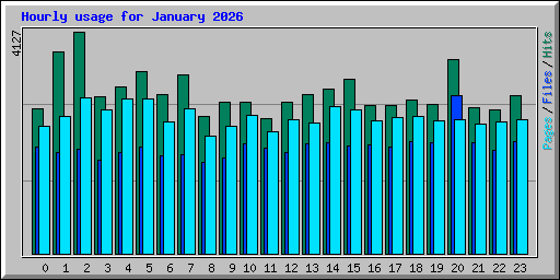 Hourly usage for January 2026