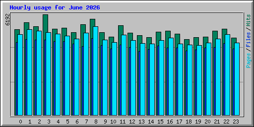 Hourly usage for June 2026