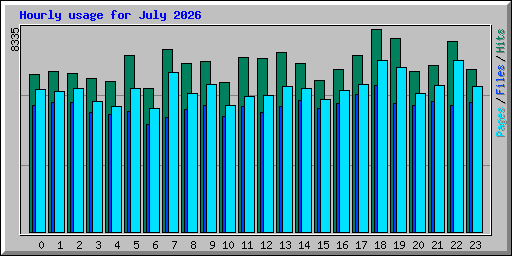Hourly usage for July 2026