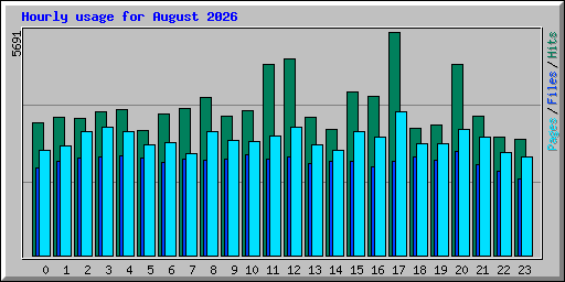 Hourly usage for August 2026